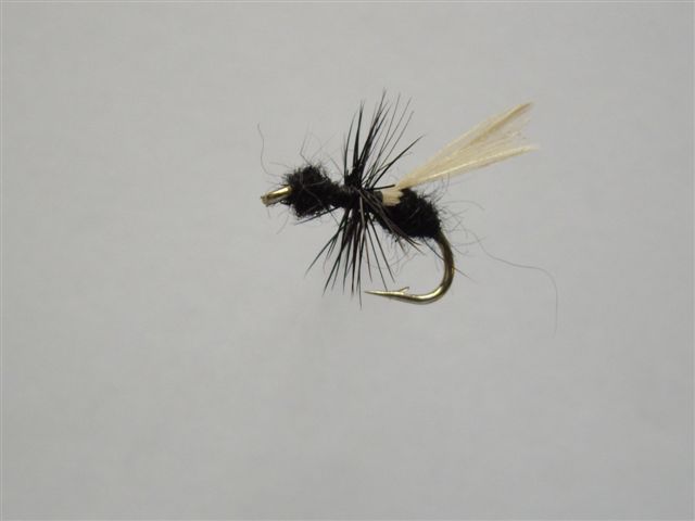 Size 18 Flying Ant Black